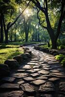 A stone path in a park photo