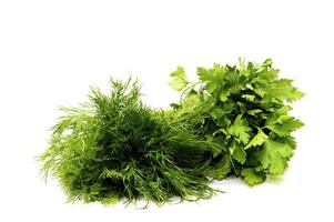 Fresh parcel of green fennel and fennel photo