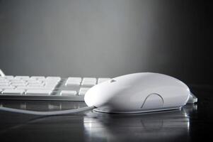 The white mouse and the keyboard for the computer photo