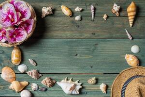 variety of sea shells and orhid flowers on a wooden background photo