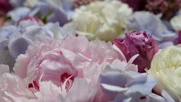 Floral natural background with blue gardenia, pink rose, white chrysanthemum close-up photo