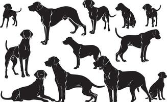 Dalmatian silhouette illustration vector