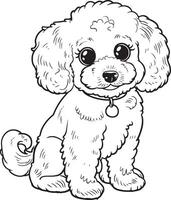 poodle silhouette vecto vector