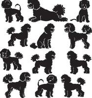 poodle silhouette vecto vector