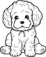 poodle silhouette vecto vector