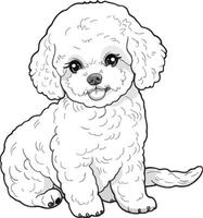 poodle silhouette vecto vector