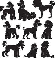 poodle silhouette vecto vector