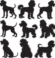 caniche silueta vecto vector