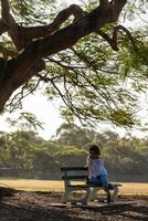 Girl sitting on a bench under a big tree photo