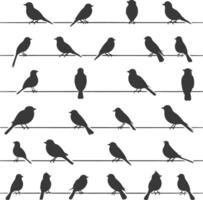 Silhouette birds on wire black color only vector