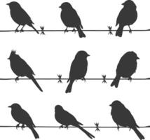 Silhouette birds on wire black color only vector