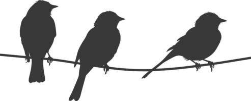 Silhouette birds on wire black color only vector