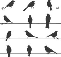 Silhouette birds on wire black color only vector