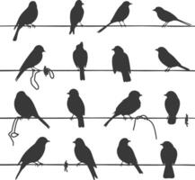 Silhouette birds on wire black color only vector