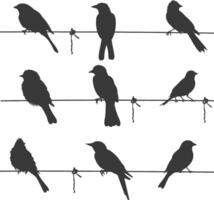 Silhouette birds on wire black color only vector