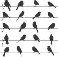 Silhouette birds on wire black color only vector