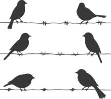 Silhouette birds on wire black color only vector