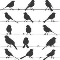 Silhouette birds on wire black color only vector