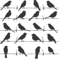 Silhouette birds on wire black color only vector