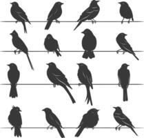 Silhouette birds on wire black color only vector