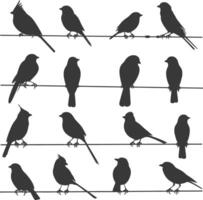 Silhouette birds on wire black color only vector