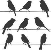 Silhouette birds on wire black color only vector