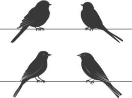 Silhouette birds on wire black color only vector