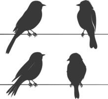 Silhouette birds on wire black color only vector