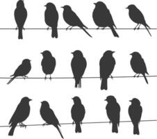 Silhouette birds on wire black color only vector