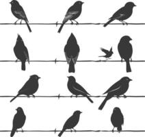 Silhouette birds on wire black color only vector