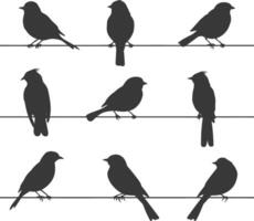 Silhouette birds on wire black color only vector