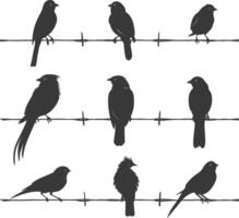 Silhouette birds on wire black color only vector
