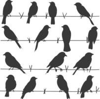 Silhouette birds on wire black color only vector