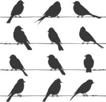 Silhouette birds on wire black color only vector