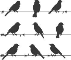 Silhouette birds on wire black color only vector