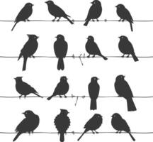 Silhouette birds on wire black color only vector