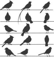 Silhouette birds on wire black color only vector