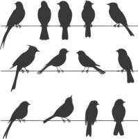 Silhouette birds on wire black color only vector