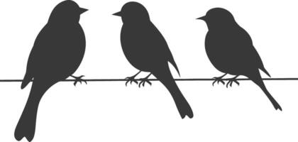 Silhouette birds on wire black color only vector