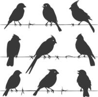 Silhouette birds on wire black color only vector