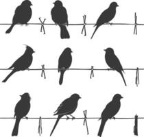 Silhouette birds on wire black color only vector