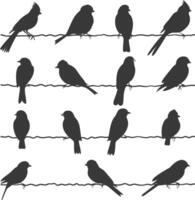 Silhouette birds on wire black color only vector