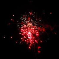 Color Firework in the night sky photo