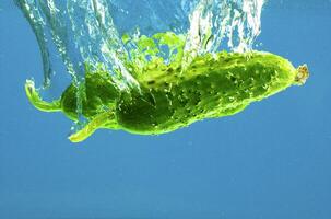 Vegetables in water photo