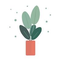 A big decorative houseplant growing in pot. Colorful flat isolated illustration. Home and office interior design vector