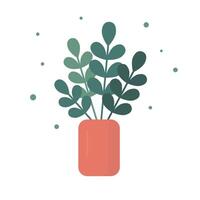 A decorative houseplant growing in pot. Colorful flat design isolated illustration. Home and office interior design vector