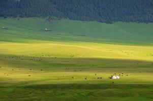 Assy Valley, Almaty Region photo