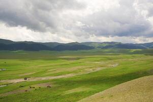 cañón de temirlik río, nacional parque charyn, almaty región, Kazajstán foto