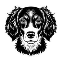 un Bretaña spaniel cara silueta vector