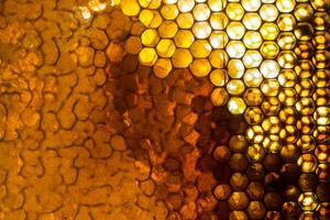 Studio Close-up of Honeycomb photo